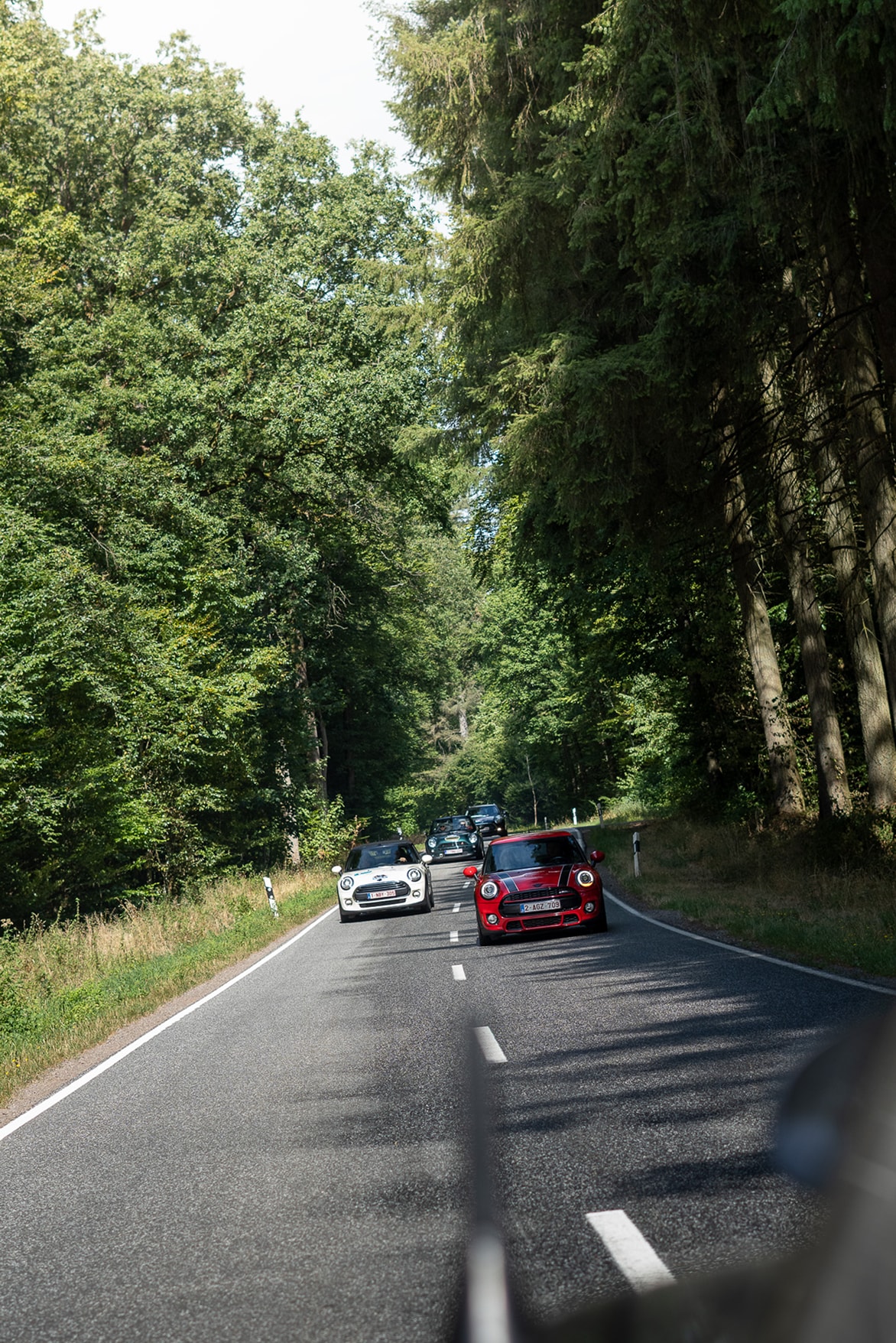 Quatre Mini Cooper en file sur une route de forêt, vues depuis le véhicule qui les précède.
